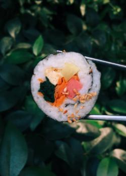 maki roll sushi